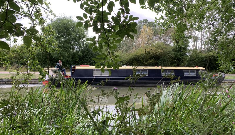 Our Arboriculture Team spend their summer with the Canal & River Trust