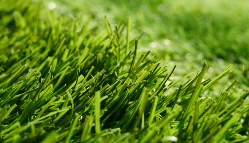 Artificial grass – a convenient replacement or ecological disaster?