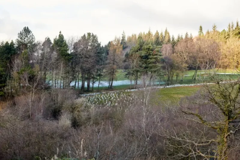 Hope Valley