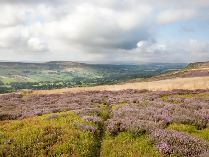 North York Moors