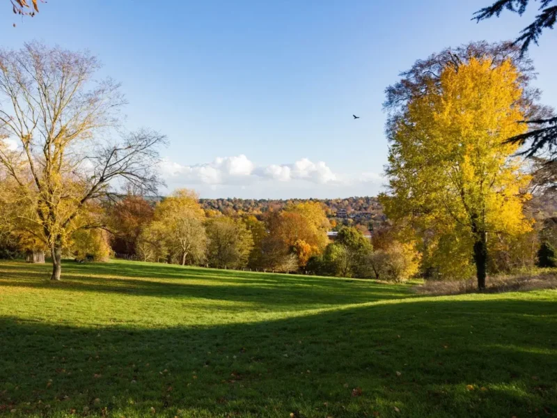 View of surrounding hills and countryside from Farnham park