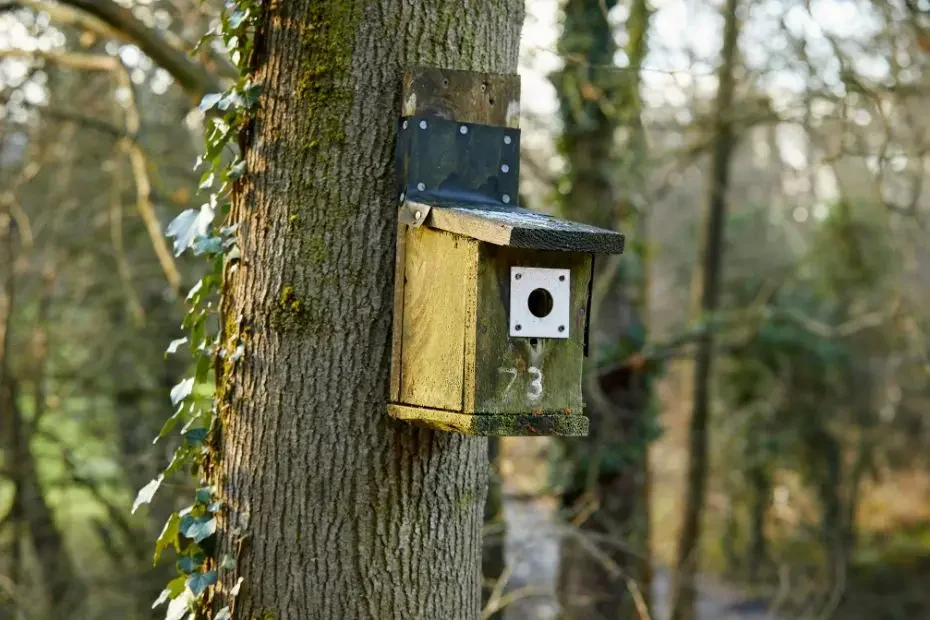 Hope Valley habitats