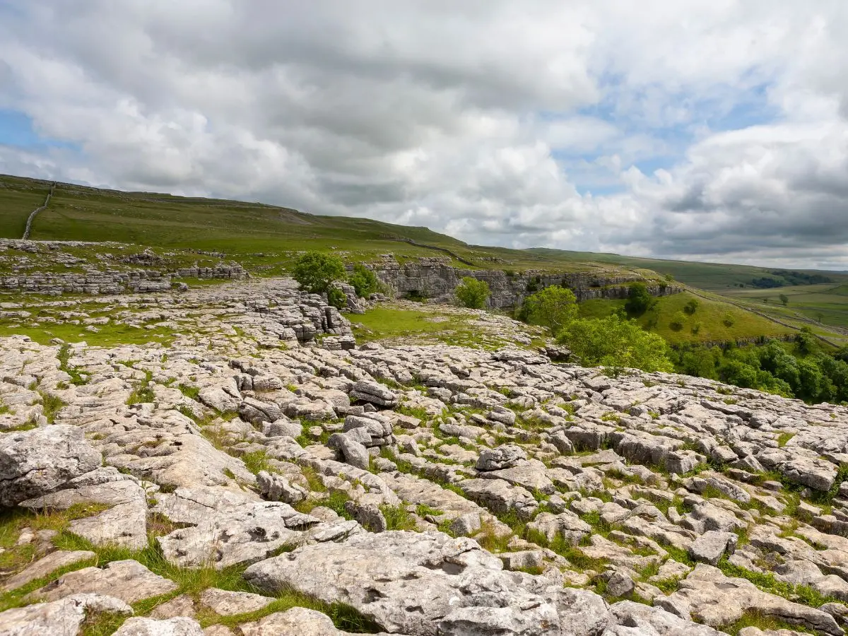 Limestone pavements are a striking habitat type that cannot be replaced.