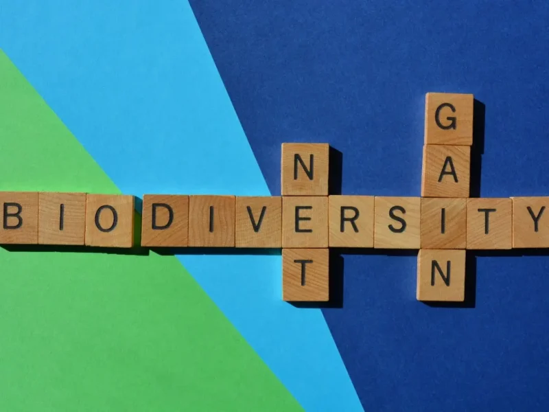 Biodiversity Net Gain crossword